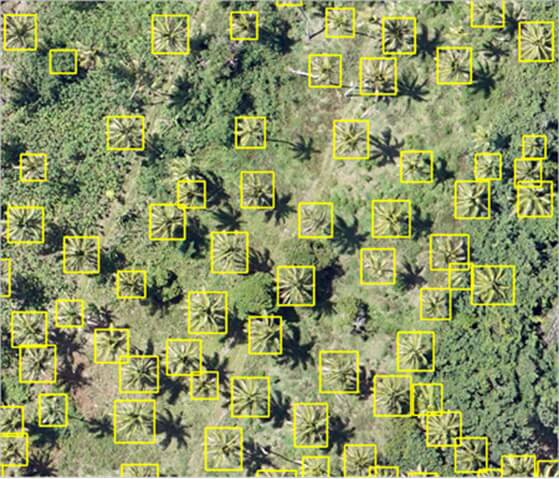 דוגמאות תוצרים בתוכנת ArcGIS Pro Deep Learning עם Image Analyst 1